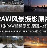 巴西世界杯日本回国-巴西世界杯日本回国，一场足球之旅的感动与反思