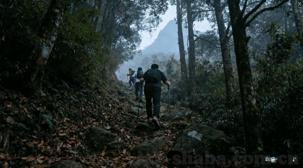 足彩 世界杯竞猜-足彩世界杯竞猜，激情与智慧的碰撞
